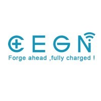 Shenzhen CEGN CO., Ltd logo - Similar company to Net Zero China