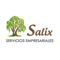 Salix Servicios Empresariales