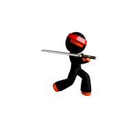 Squad Ninja logo - Similar company to Lanvit Technologies Private Limited