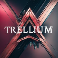 Trellium logo - Similar company to Merabt Technologies Pvt Ltd