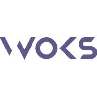 woks audio logo - Similar company to Audio First Designs