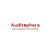 Auditsphere logo - Similar company to Chikiweb