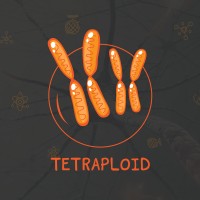 Tetraploid Team logo - Similar company to Imgn - تخيل