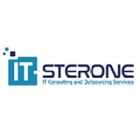 IT STERONE logo - Similar company to Emsys-It