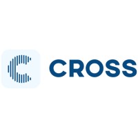 Cross Bilişim Teknolojileri ve Danışmanlık logo - Similar company to Abida Bilişim Teknolojileri Danışmanlık A.Ş.