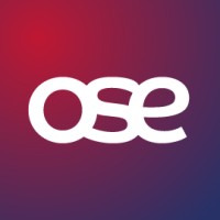 OSE in Africa logo - Similar company to Equity Conversations