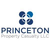 Princeton Property Casualty LLC logo - Similar company to Connexus Secure