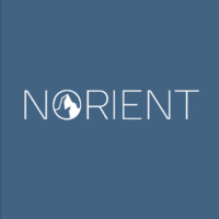 Norient Advisors Limited logo - Similar company to Collabrium Partners