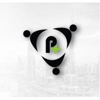 Perfect Plus Businessmen Services logo - Similar company to Xtremejetski