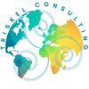 Triskel Consulting logo - Similar company to Mvprotalent.Com