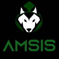 AMSIS logo - Similar company to Amsis S.R.L.