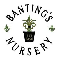 Banting’S Nursery