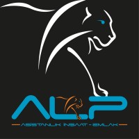 Alp Asistanlık İnşaat Emlak Hizmetleri