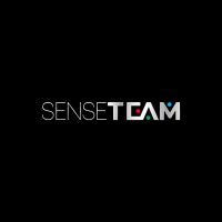 Sense Team logo - Similar company to Cstop Animation Academy