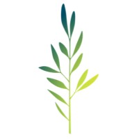 THE LIVIA FOUNDATION logo - Similar company to Mundu - Center For Global Dannelse