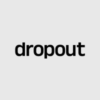 dropout logo - Similar company to Puzzle