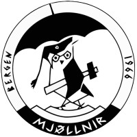MJØLLNIR logo - Similar company to Spe Bergen Section