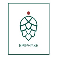 Epiphyse logo - Similar company to Cabinet Dsl