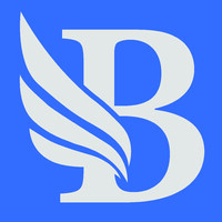BidLight logo - Similar company to Miclogic