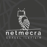 netmecra logo - Similar company to Orbis Solutions, Inc.