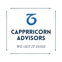 Capprricorn Advisors logo - Similar company to Oznet Corp.