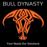 Bull Dynasty logo - Similar company to Openings