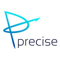 Precise Financial Management Services Ltd. logo - Similar company to Master Plan & Optimize Plan