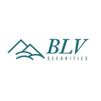 BLV Securities logo - Similar company to Eb Exchange Funds