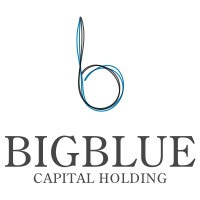 BIG BLUE CAPITAL HOLDING logo - Similar company to Nofakes