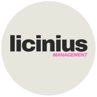 The Licinius Talent Management logo - Similar company to Bigkill