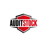 Audit Stock logo - Similar company to Taskrise Solution