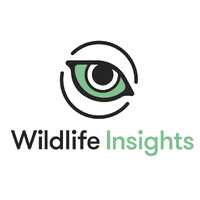 Wildlife Insights logo - Similar company to Tech4Nature Ltd