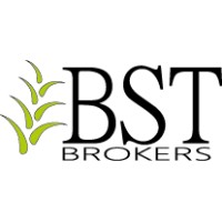 BST Brokers logo - Similar company to Polskie Stowarzyszenie Producentów Oleju
