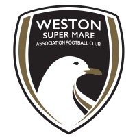 Weston-super-Mare AFC logo - Similar company to Quietwaters