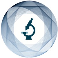 ScreenACT logo - Similar company to Raftel Studio