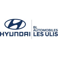 HYUNDAI BL AUTOMOBILES logo - Similar company to Bl Auto