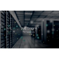 NETrium ICT solutions GmbH logo - Similar company to Fbs Informatik Ag