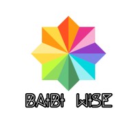 Baibi Wise logo - Similar company to Traitvis
