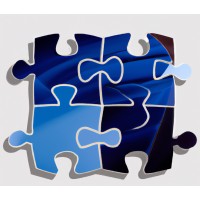 Fractional CMO Group LLC logo - Similar company to Cmo Talent Solutions