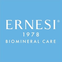 ERNESI 1978 logo - Similar company to Bobbyfun Inc.