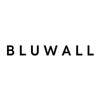 Bluwall Holding logo - Similar company to Alinea
