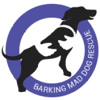 Barking Mad Dog Rescue logo - Similar company to Margaret Green Animal Rescue