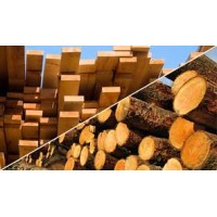 Michael Hilburn's Lumber/Log page logo - Similar company to Beacon International Despatch Ltd