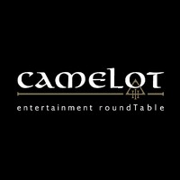 Camelot Srl logo - Similar company to The Next Solution