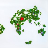 Earthyan logo - Similar company to Wwebworx