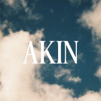 Akin logo - Similar company to Transltx