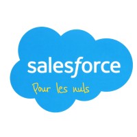 Salesforce pour les nuls logo - Similar company to Hisler