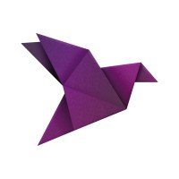 Safirbranding logo - Similar company to Erpsys Cloud