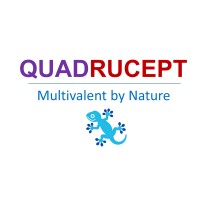 Quadrucept Bio. Ltd. logo - Similar company to Ollin Biosciences