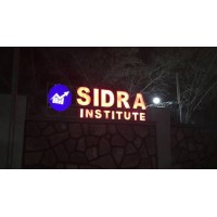 SIDRA Institute logo - Similar company to Constituency For Africa